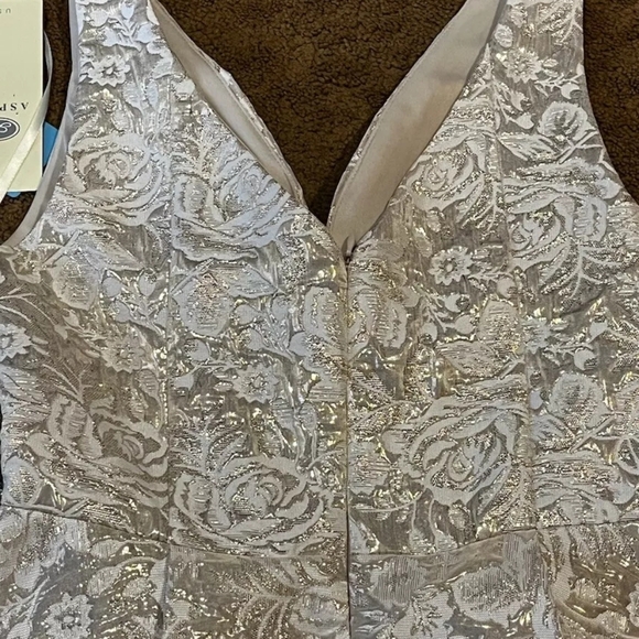 Aspeed Shimmery Champagne Floral Brocade Sleeveless Gown NWT Size Small - Picture 9 of 16